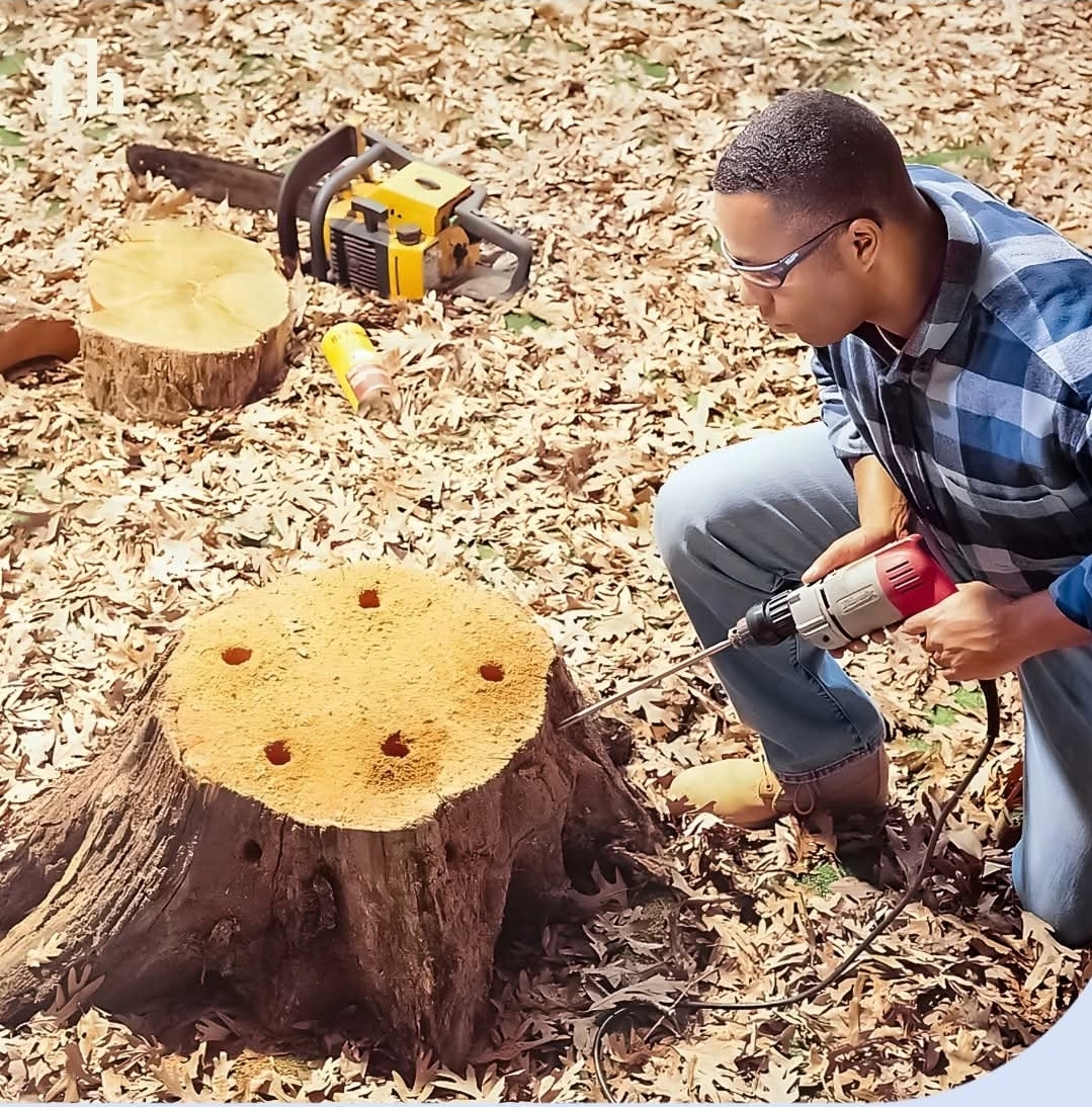 PROFESSIONAL stump removal 