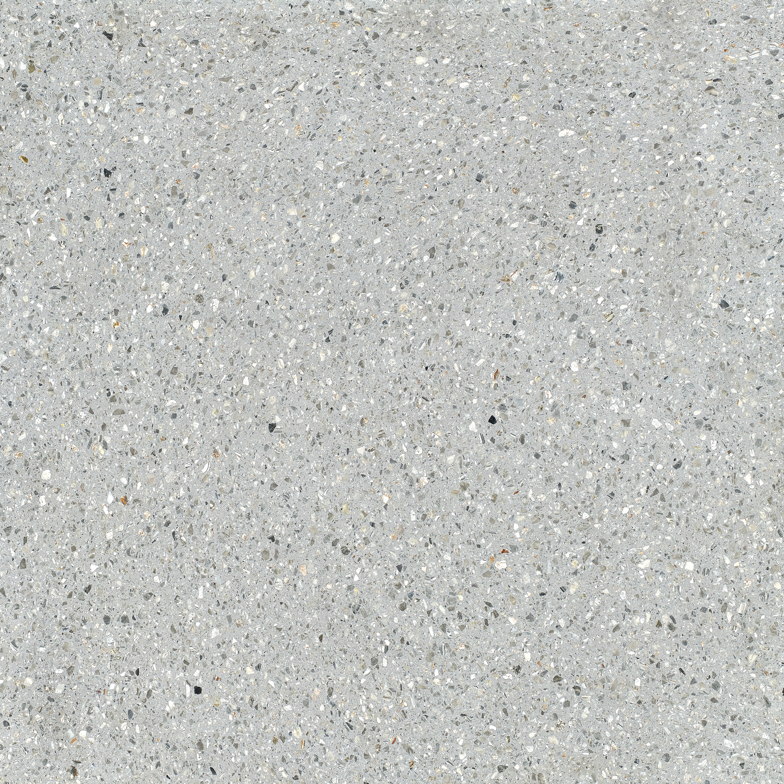 GT19