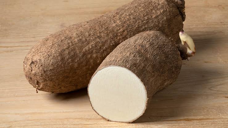 Tuber of Yam