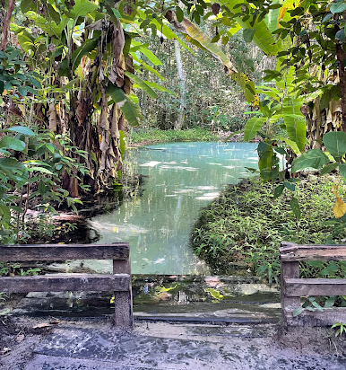 Tropical Jungle Eco Tour - Trip to Jalapão