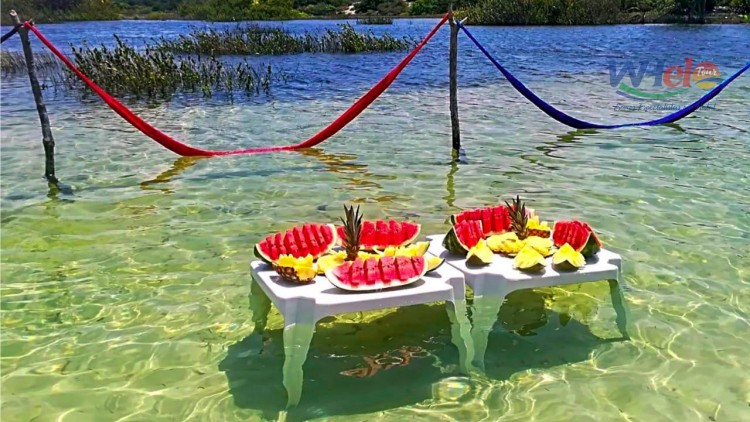 The most beautiful beaches in the world - Trip to Natal