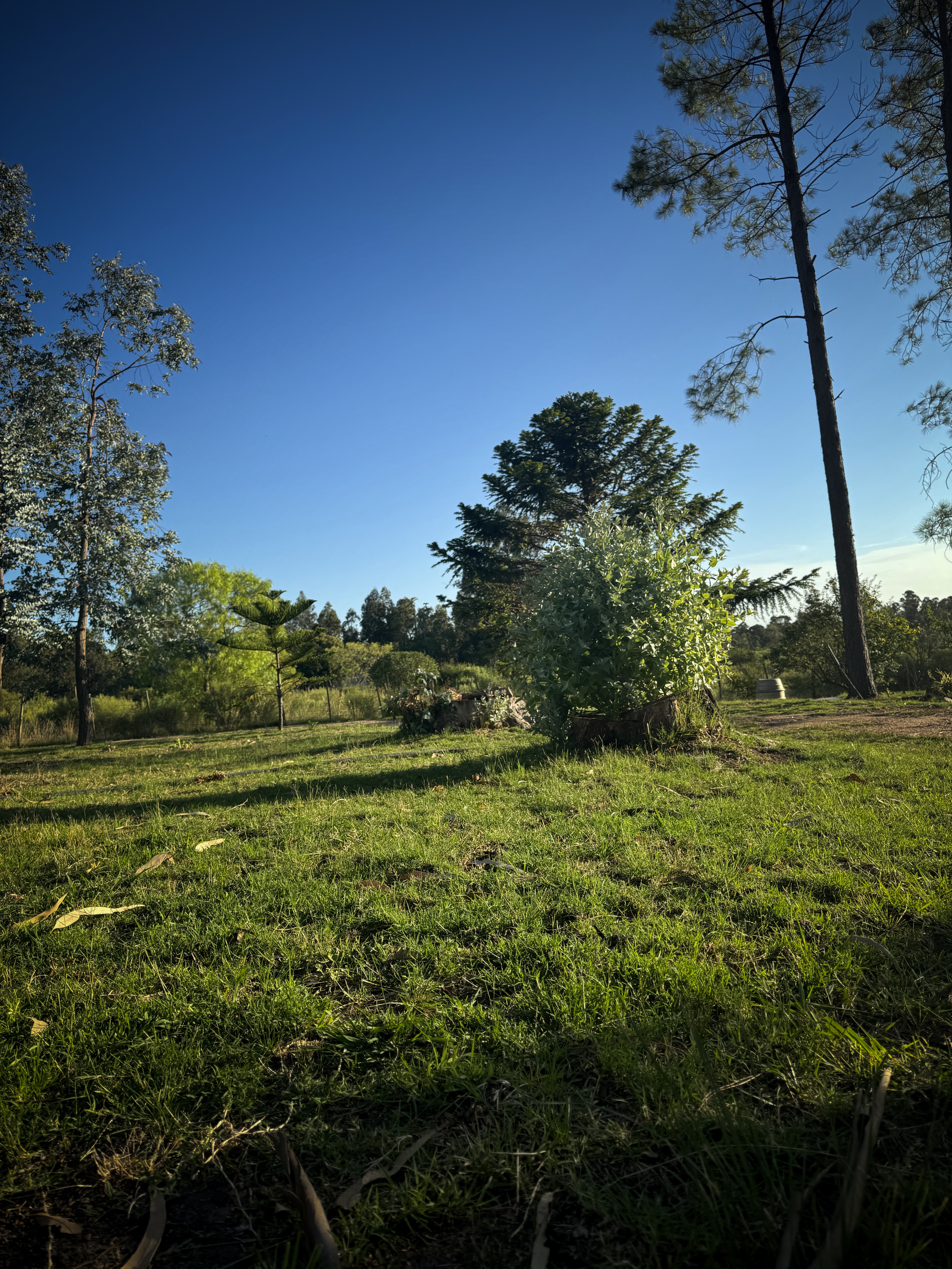 Reserva dos días y una noche