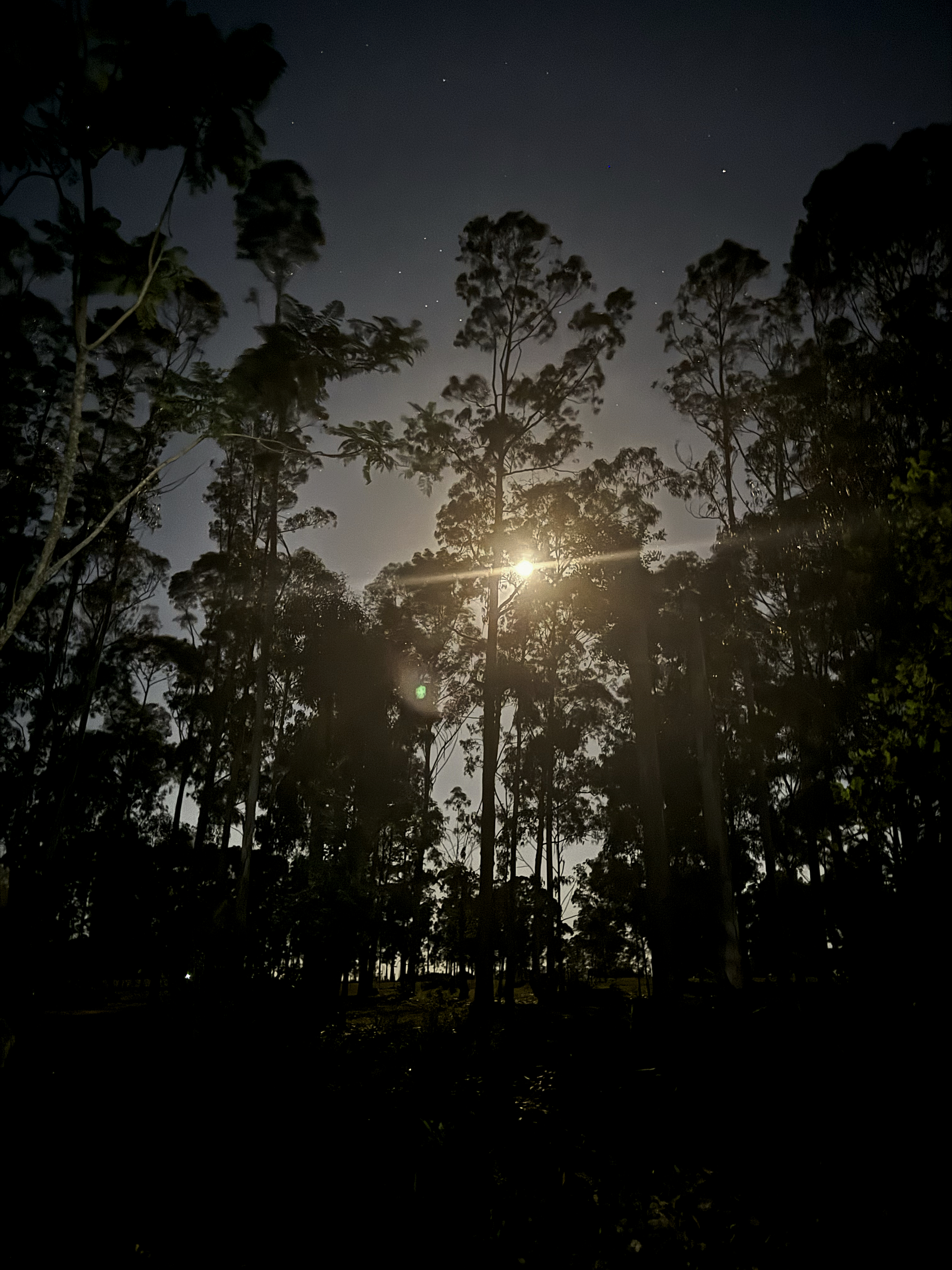 Reserva dos días y dos noches