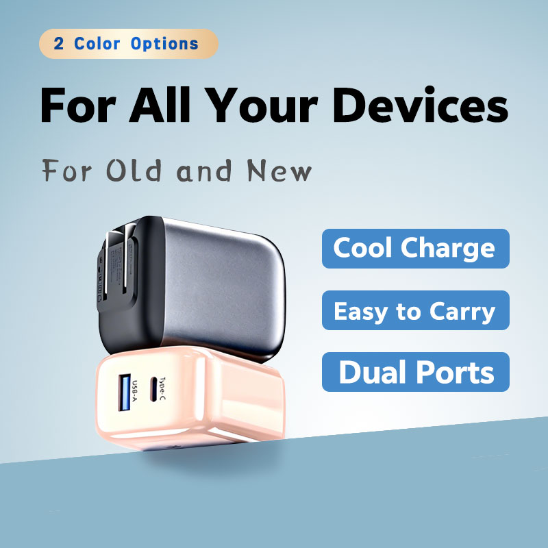 YFBC Dual USB Wall Charger