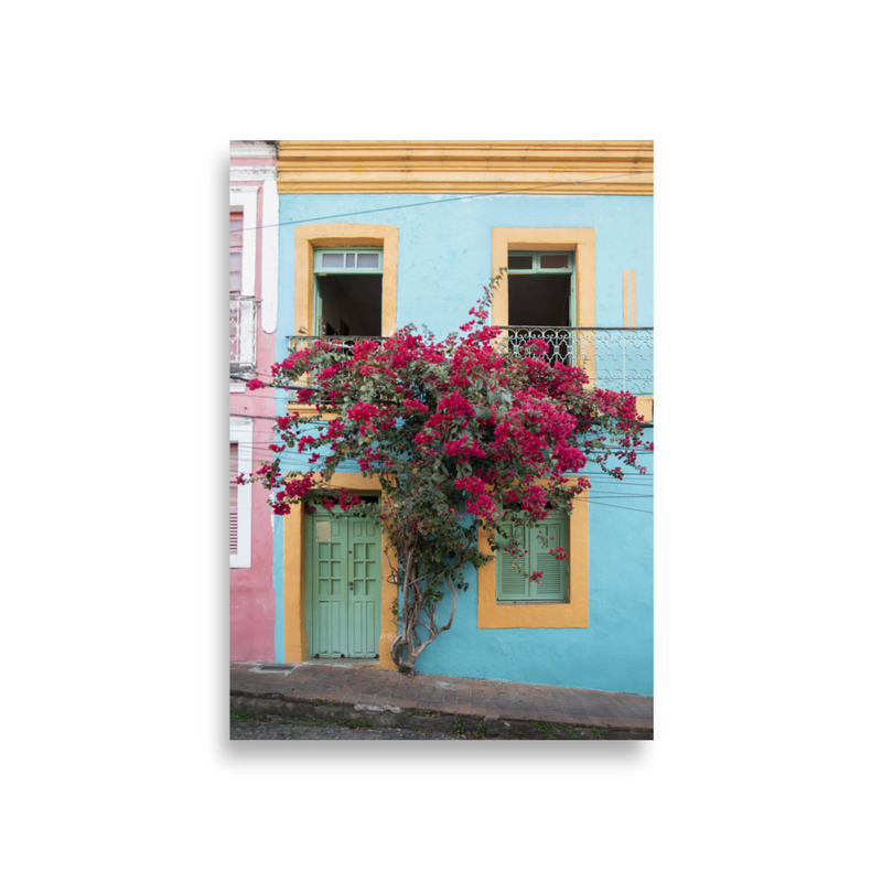Color Explosion House