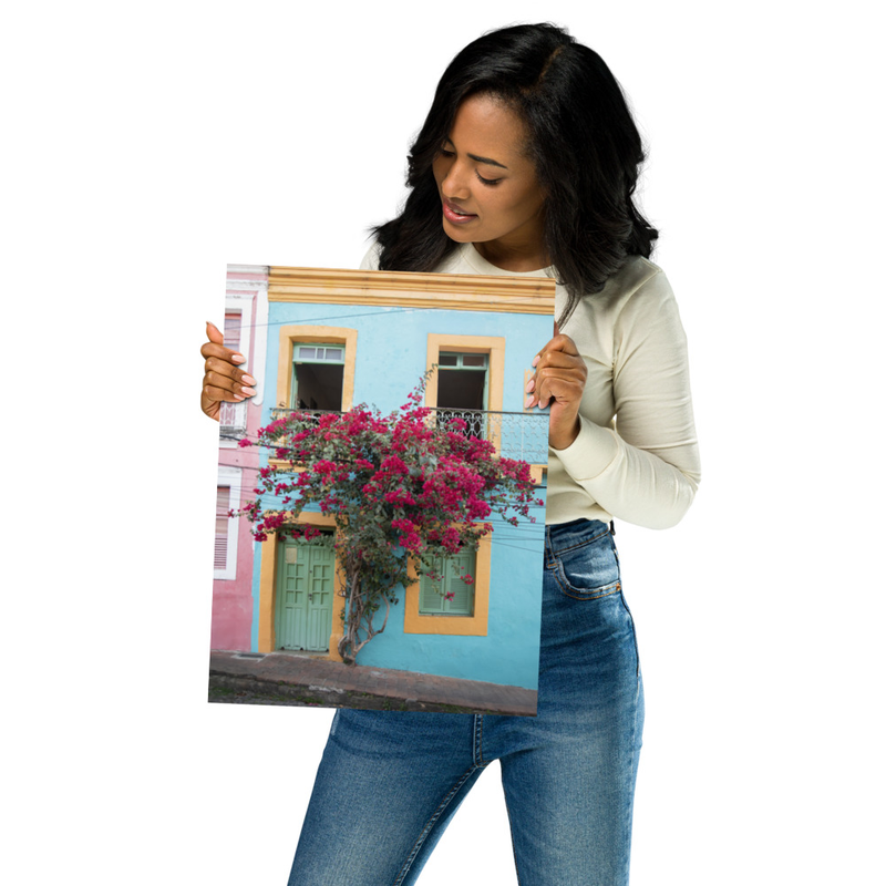 Color Explosion House