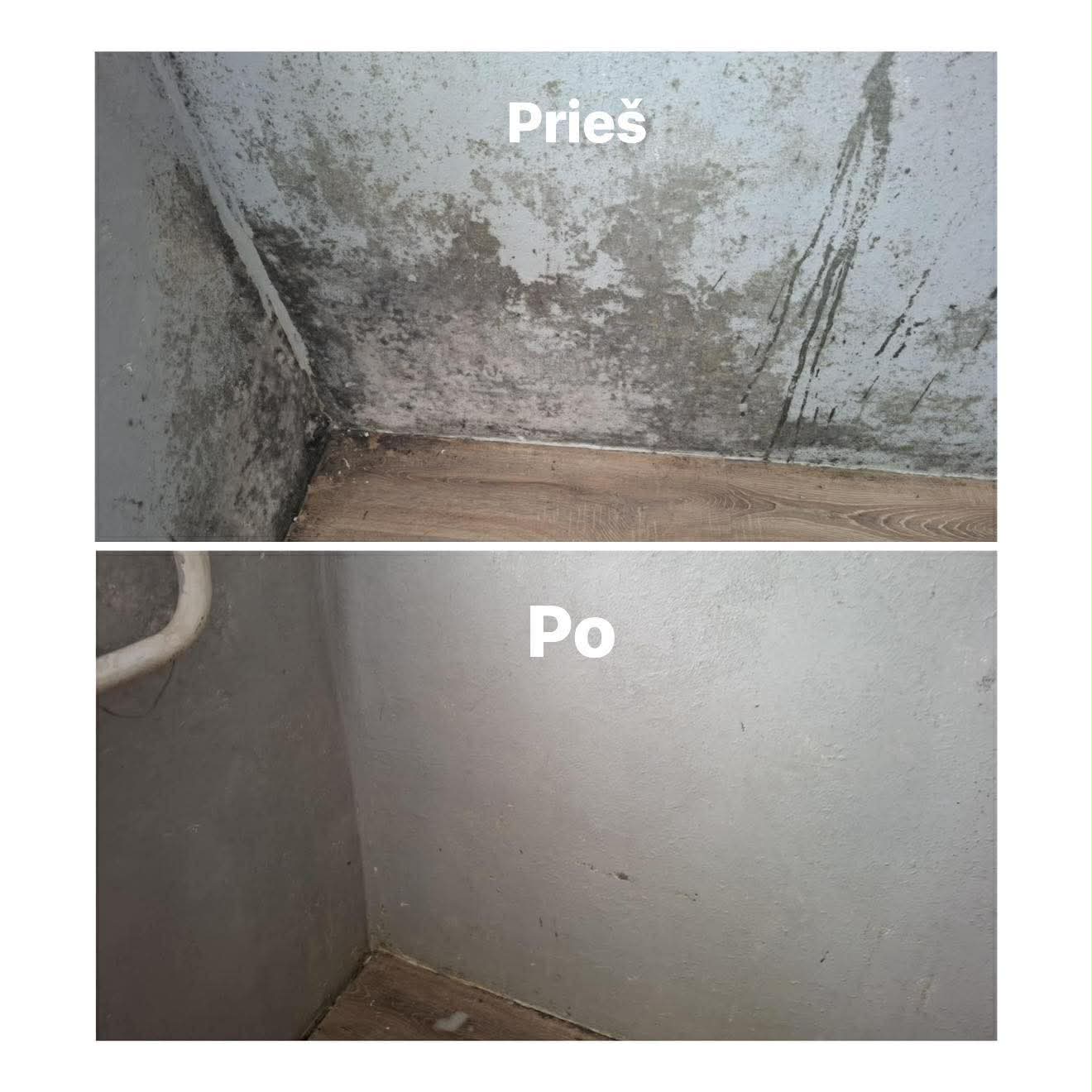 Bleachgel - Balinantis valomasis gelis su balikliu - 1L