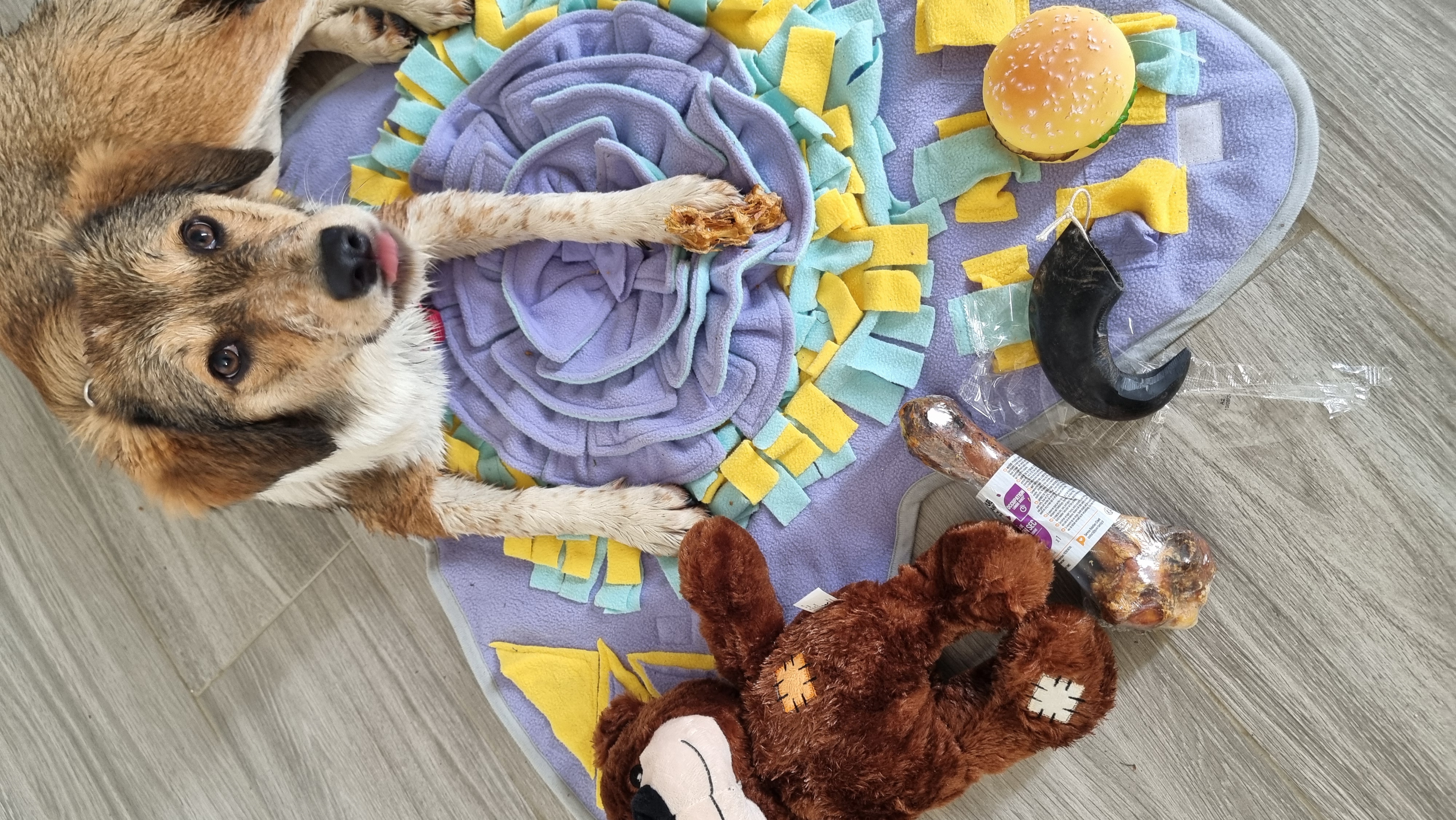 Séance individuelle de suivi