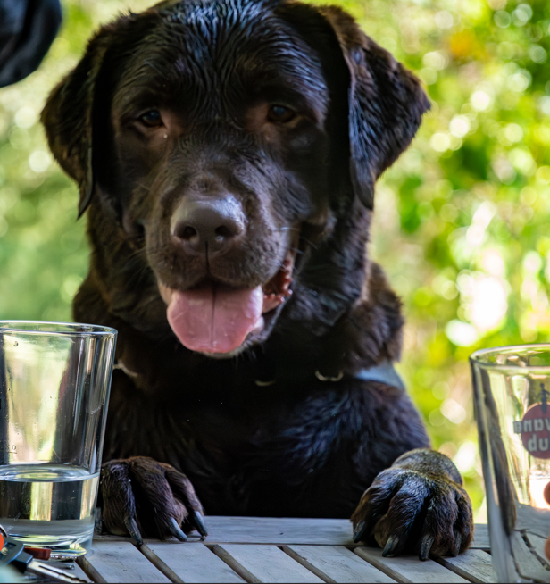 Balade individuelle de Quartier - 45min