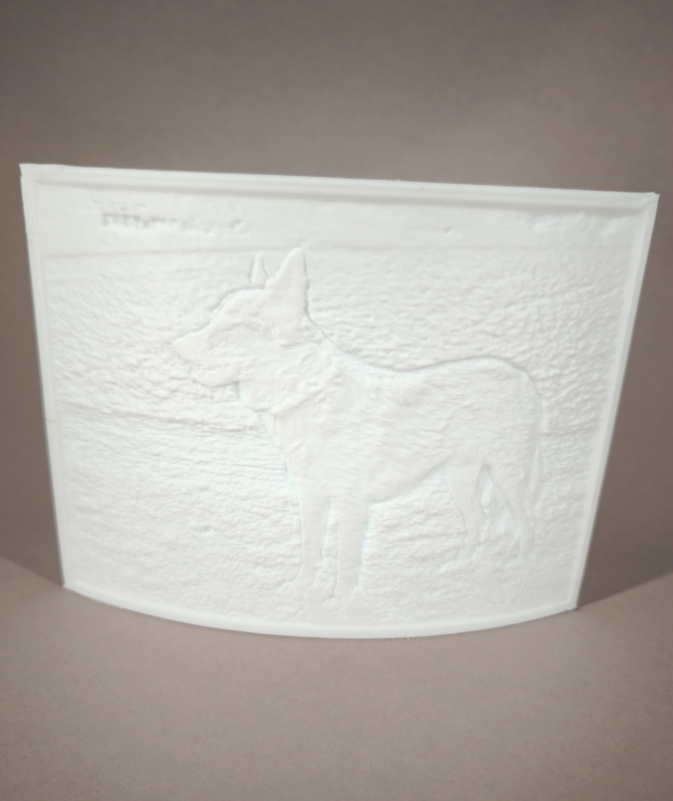  3D-Foto Lithophane – ein Bild, das vom Licht lebt