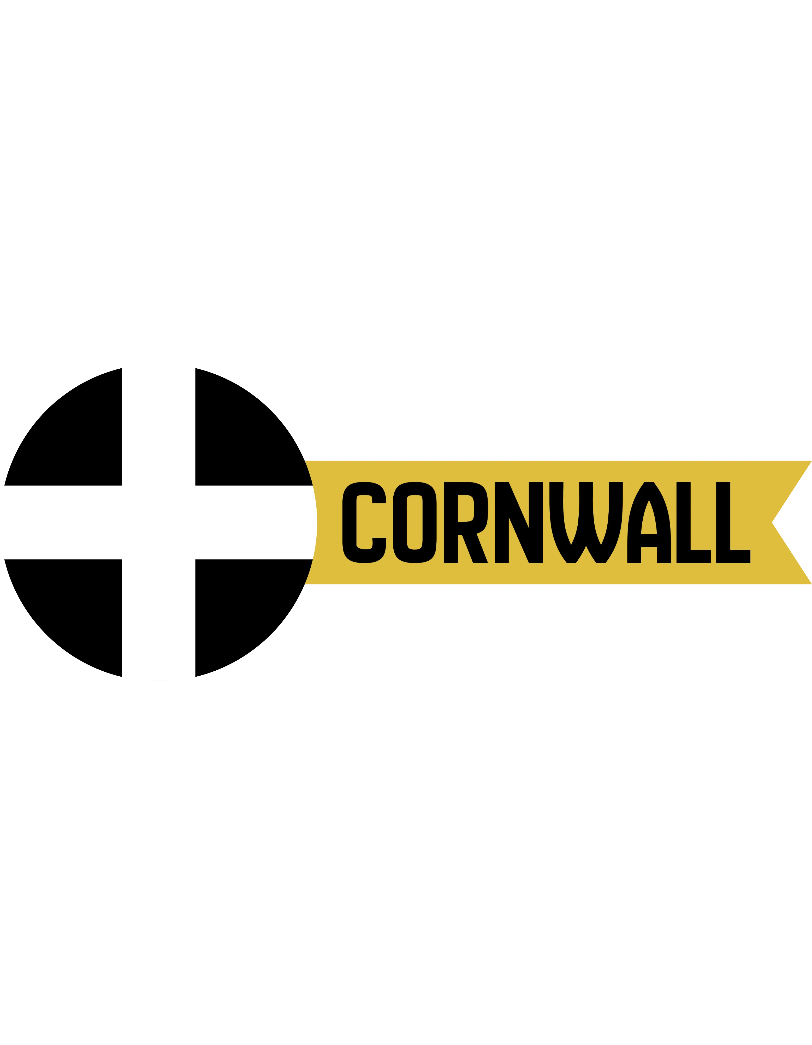 Classic Cornwall Ribbon Summer Head Tee