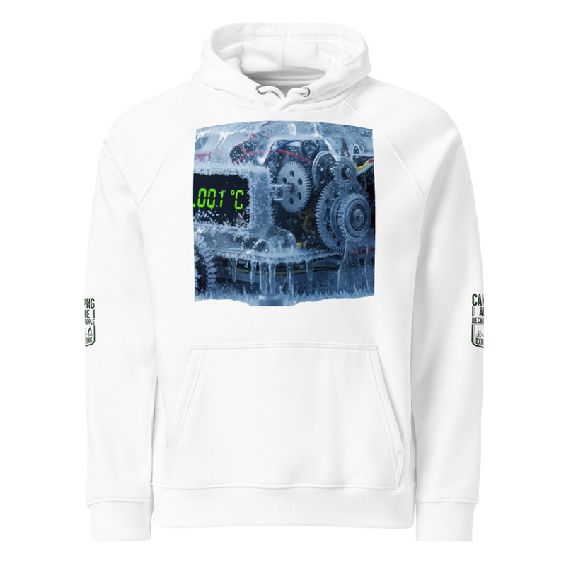 Unisex eco raglan hoodie