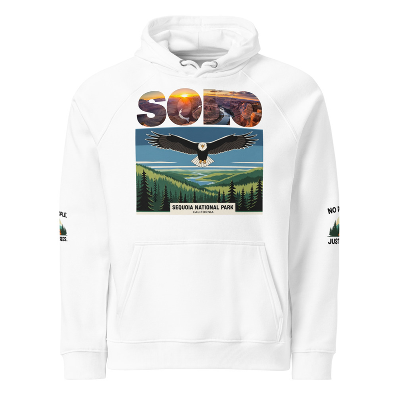 Unisex eco raglan hoodie