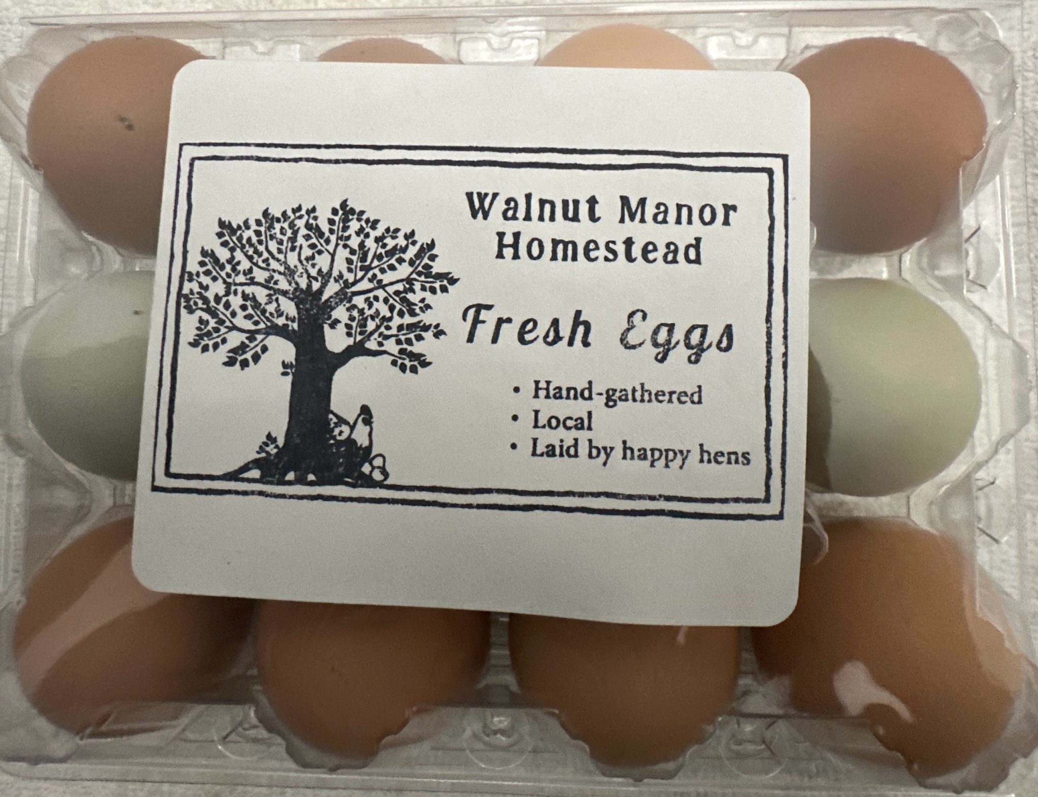 Fresh Homestead Eggs
