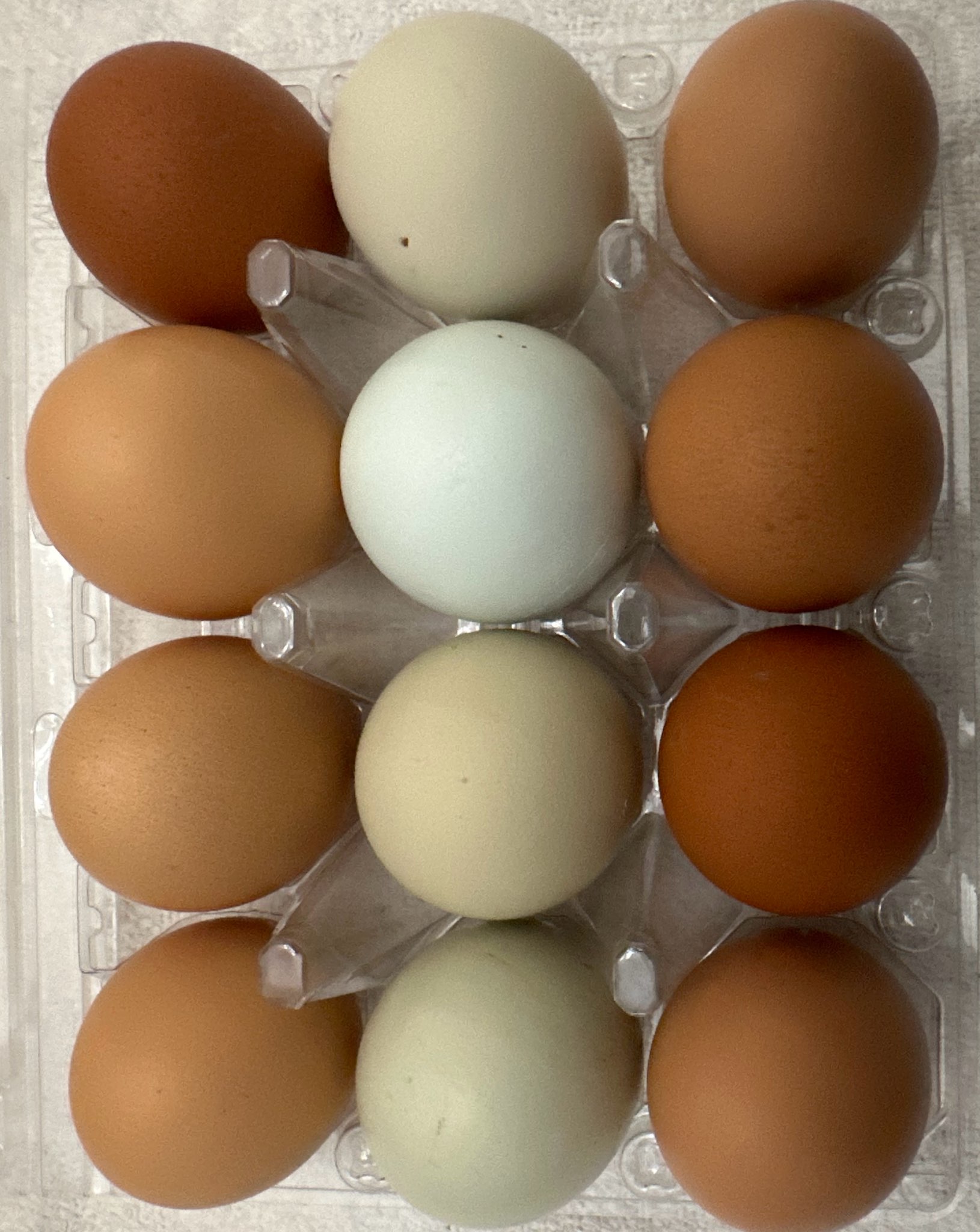 Fresh Homestead Eggs