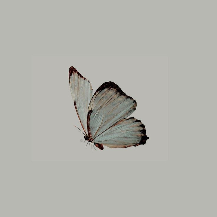 Terapia de pareja en línea