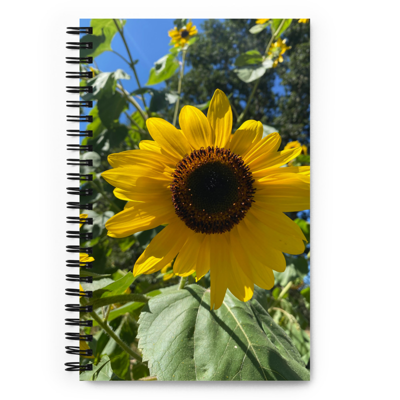 Spiral notebook