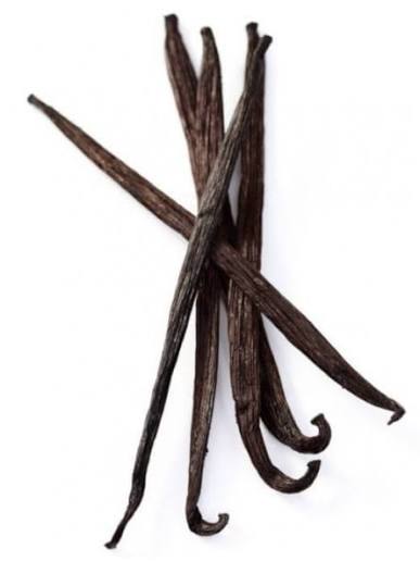 Gousse de vanille « La Précieuse »