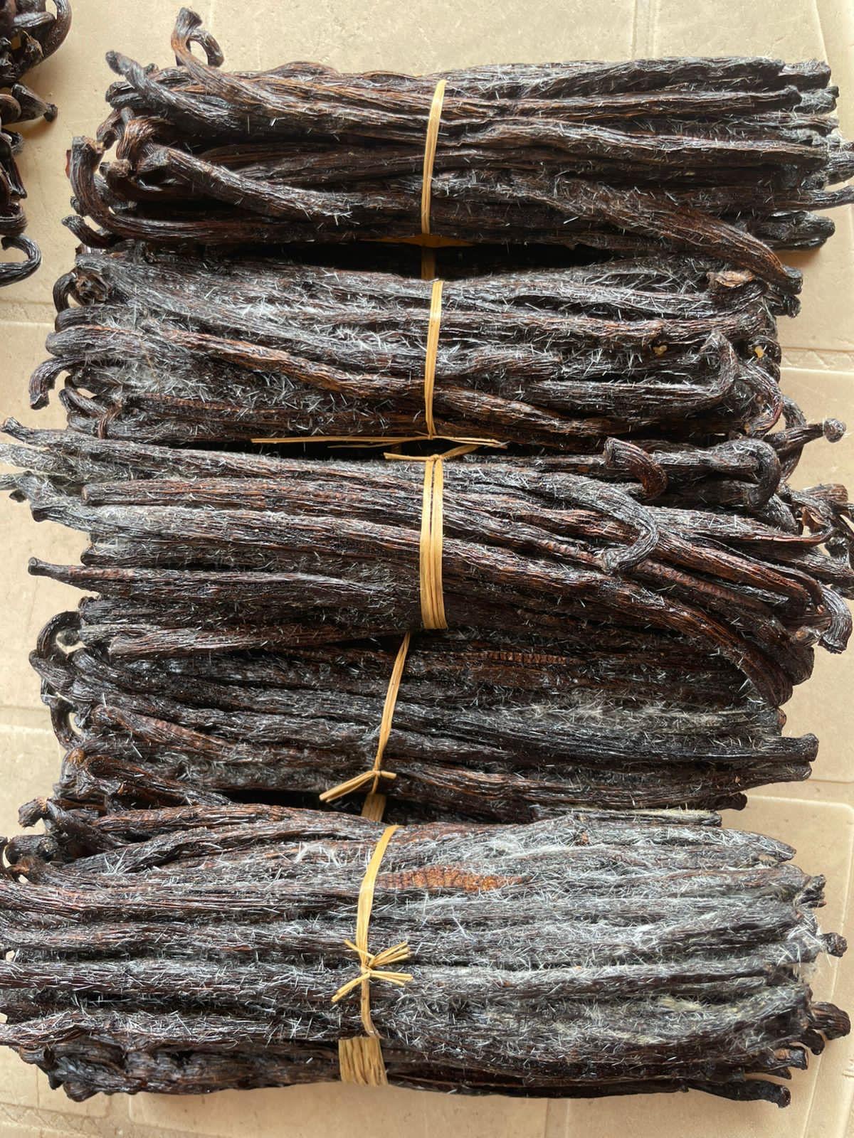 10 gousses de vanille gourmet freez