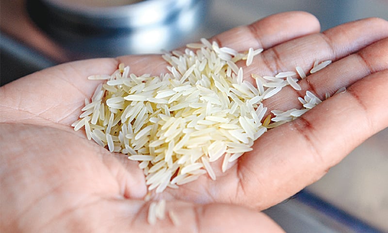 High-quality basmati rice for export