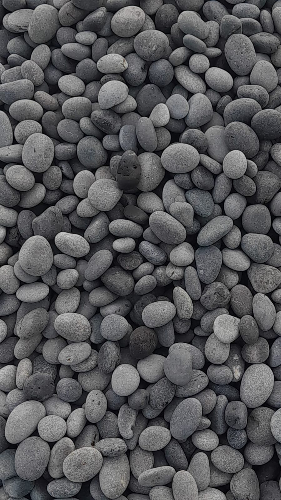 Dark Grey Beach Pebbles