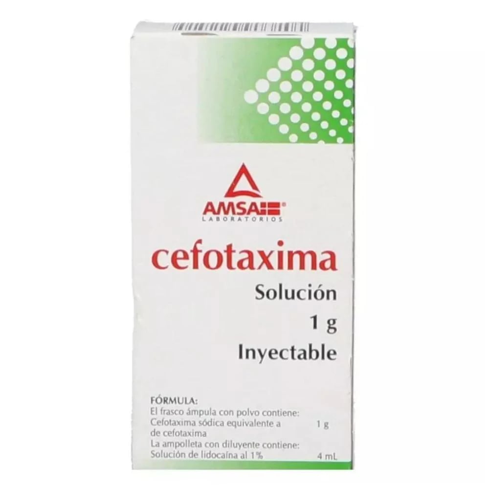 CEFOTAXIMA I.M. 1 FA 1G/4 ML