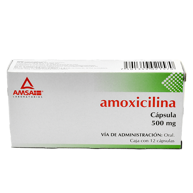 AMOXICILINA 12 CAPS 500 MG