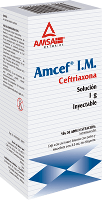 AMCEF I.M. 1 FA 1G/2 ML