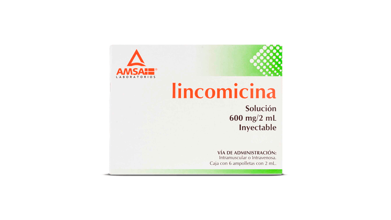 LINCOMICINA 600MG/2ML/ 6 AMP