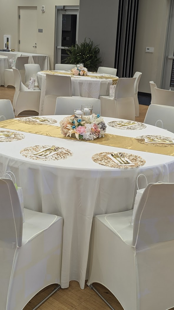 Ivory Stretch Chair Cover