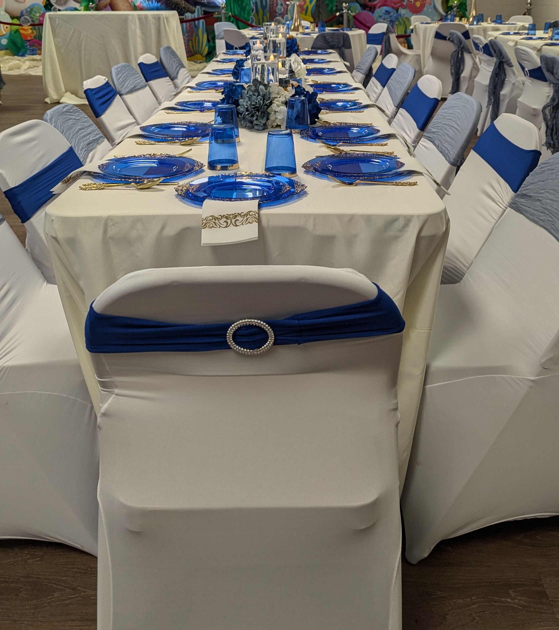 Blue Stretch Chair Sash