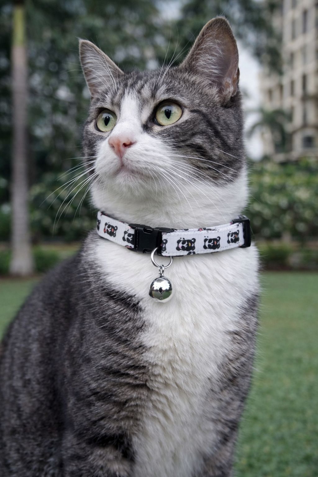 Panda Parade Handmade Cat Collar