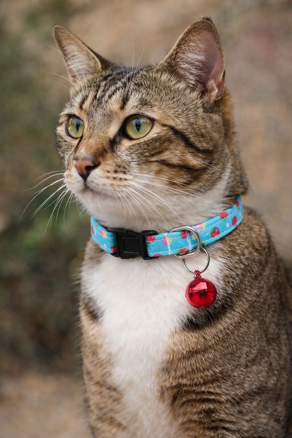 Lunaberry Handmade Cat Collar