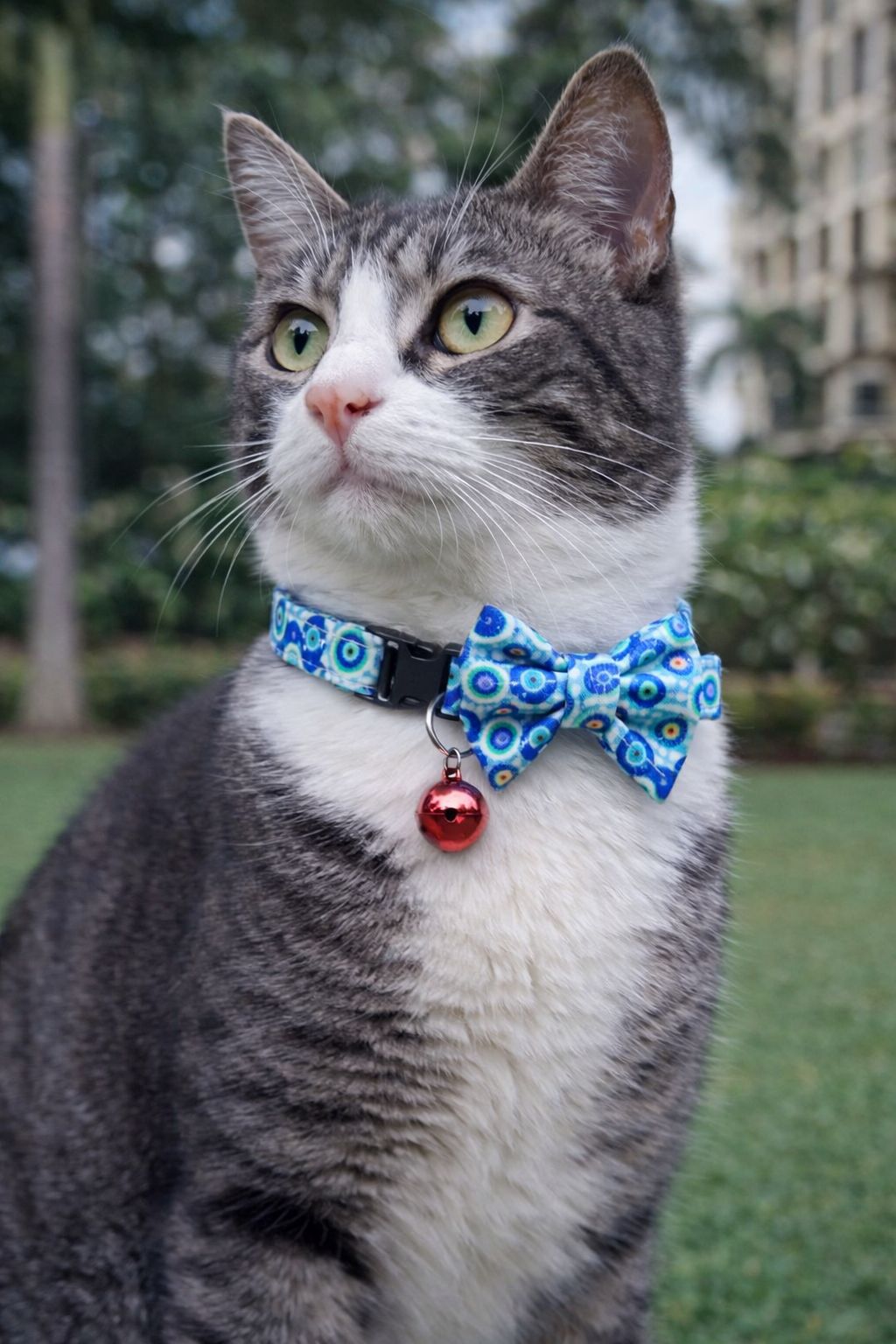 Meow-gic Eye Handmade Cat Collar