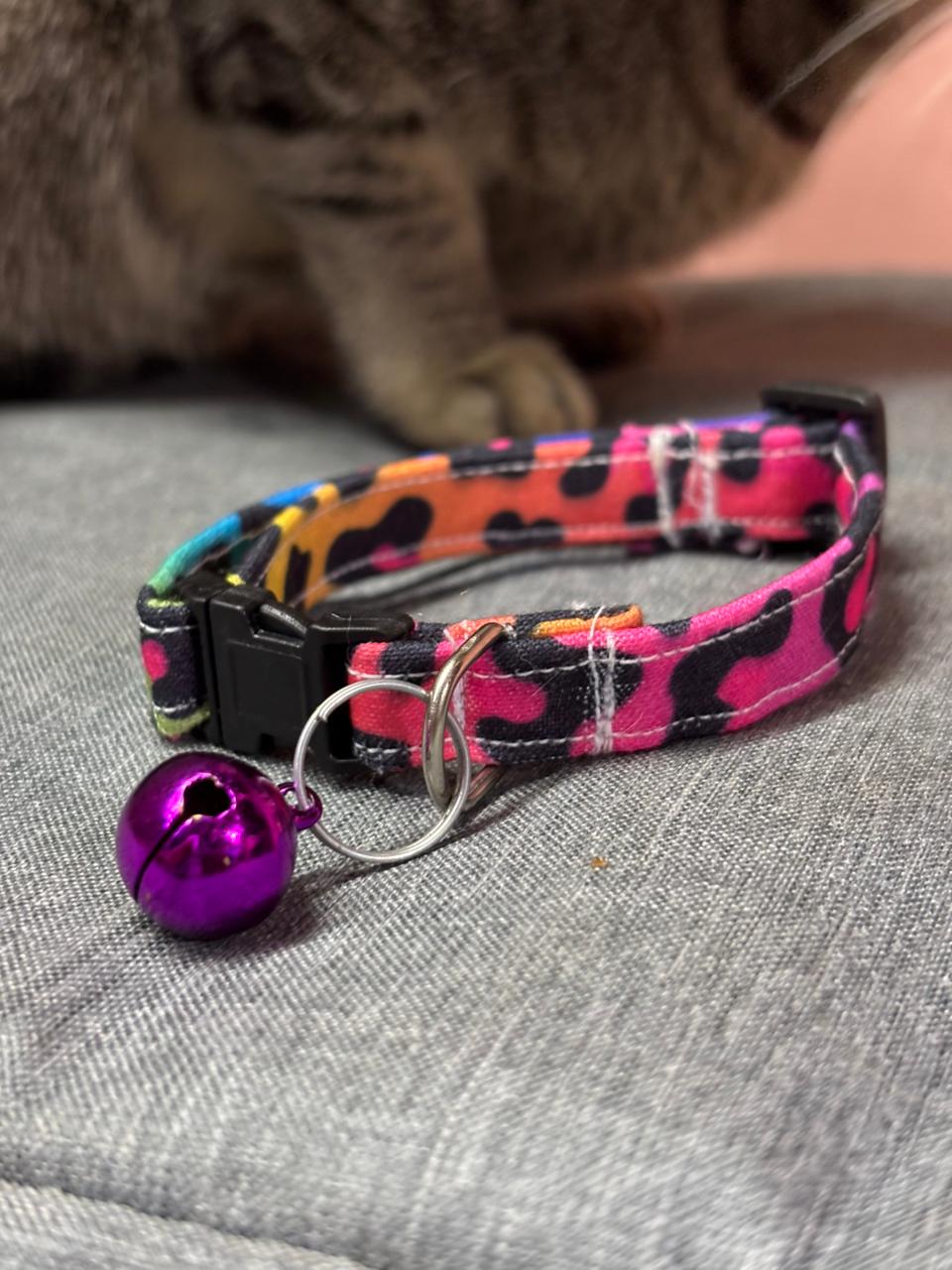 Wild Pop Handmade Cat Collar