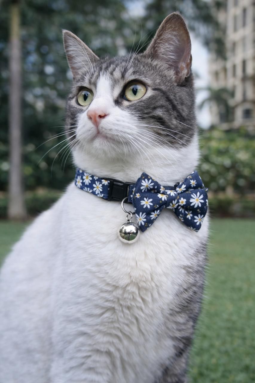 Daisy Night Handmade Cat Collar with Bow