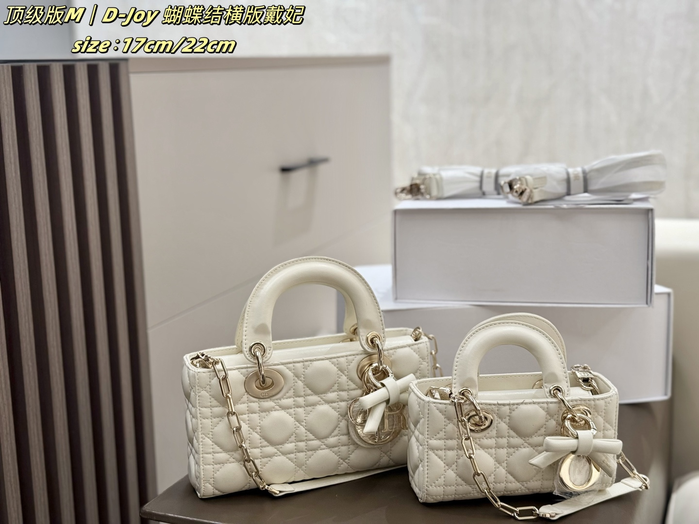 Dior lady D-joy [503565]