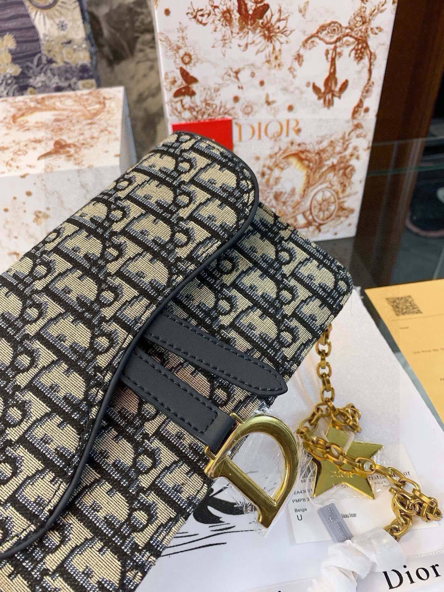 Dior Small Saddle [504028]