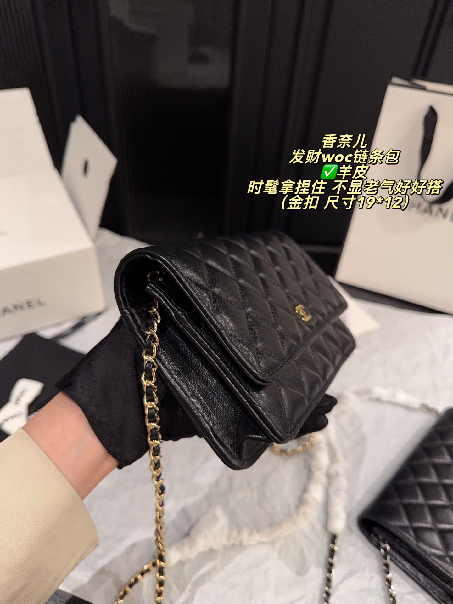 Chanel Wallet On Chain Black [503574]