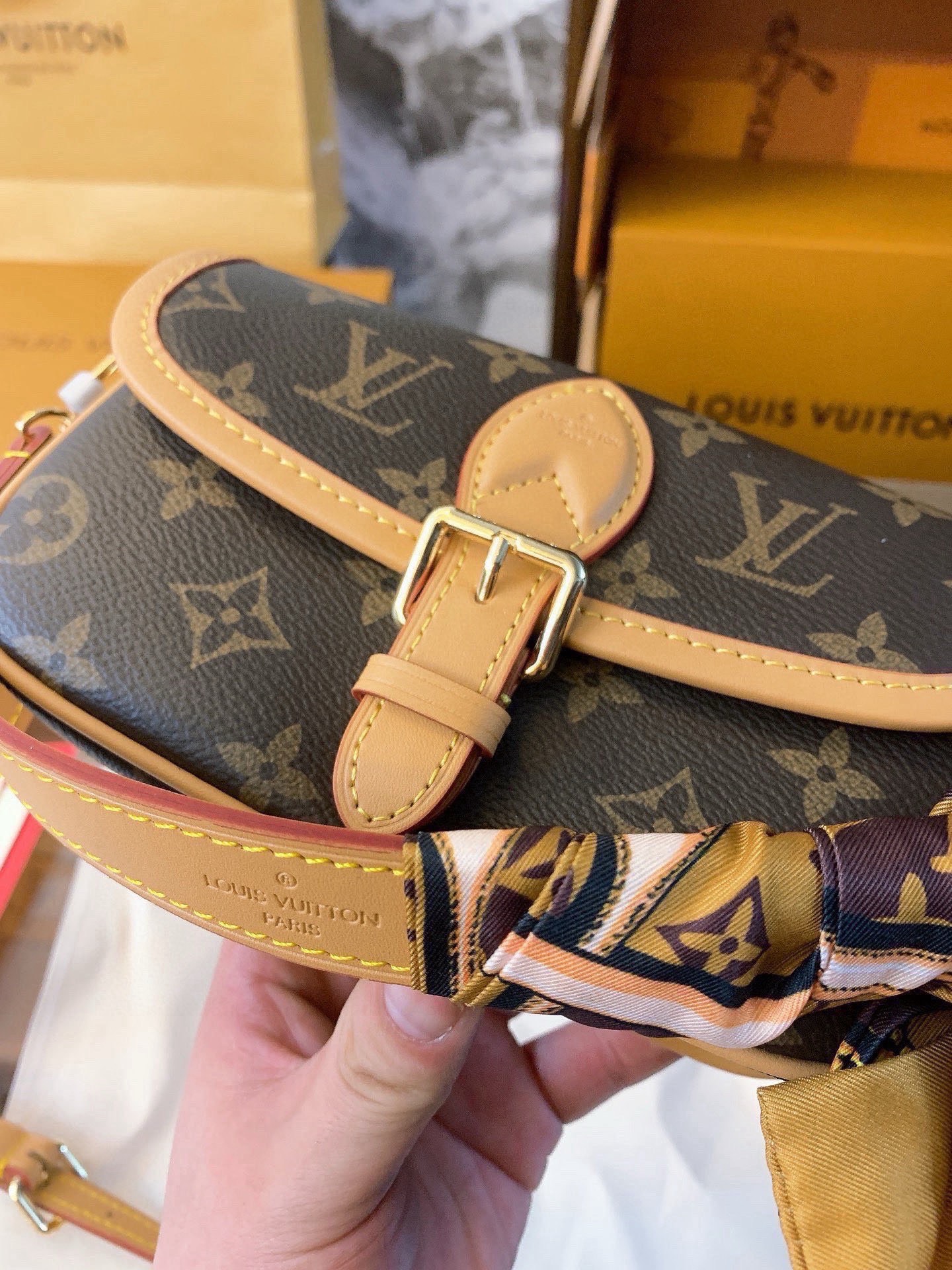 LV Nano Diane Bag [504508]