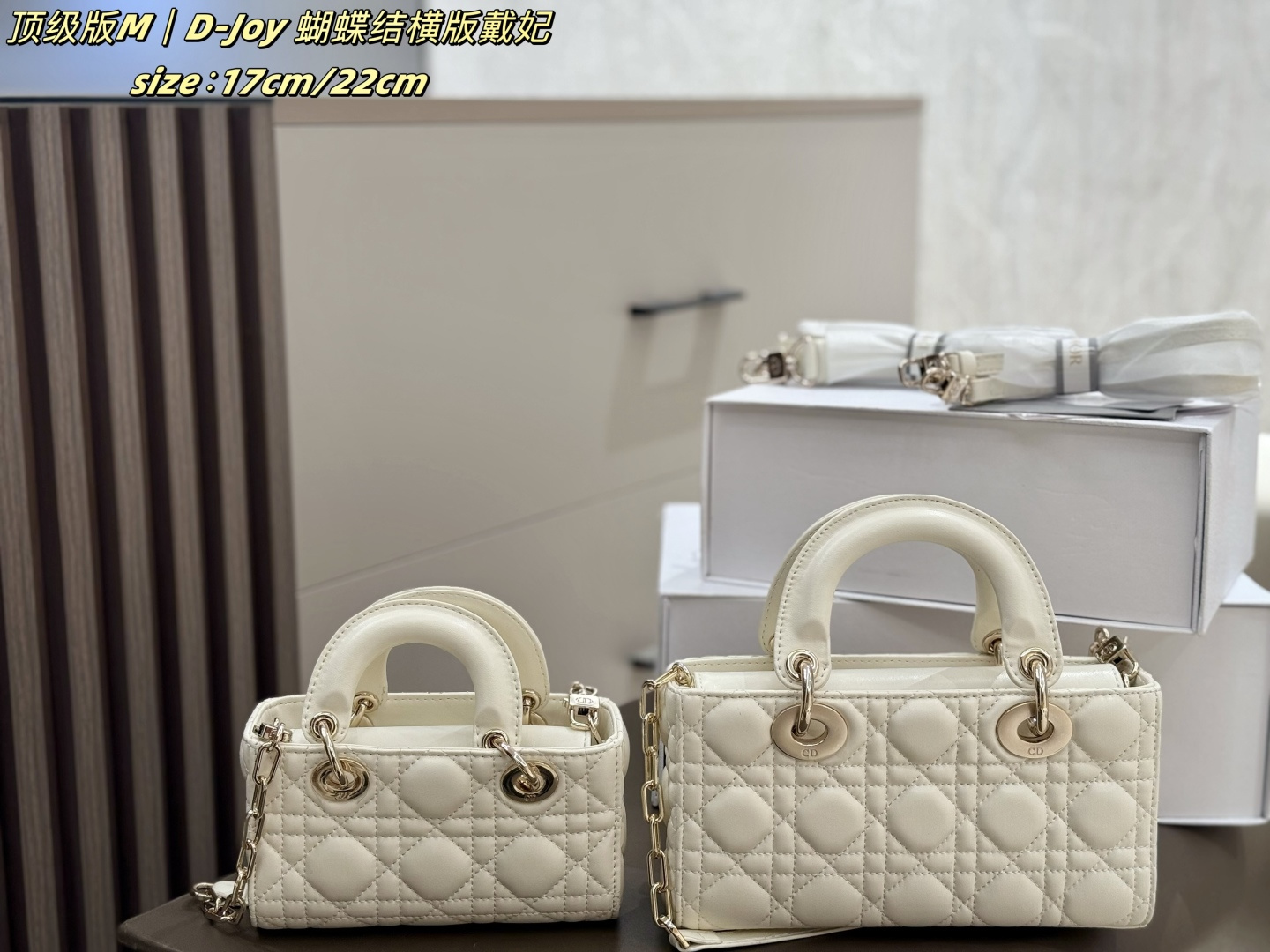 Dior lady D-joy [503565]
