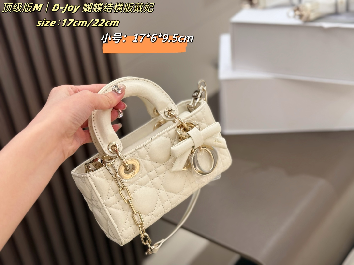 Dior lady D-joy [503565]