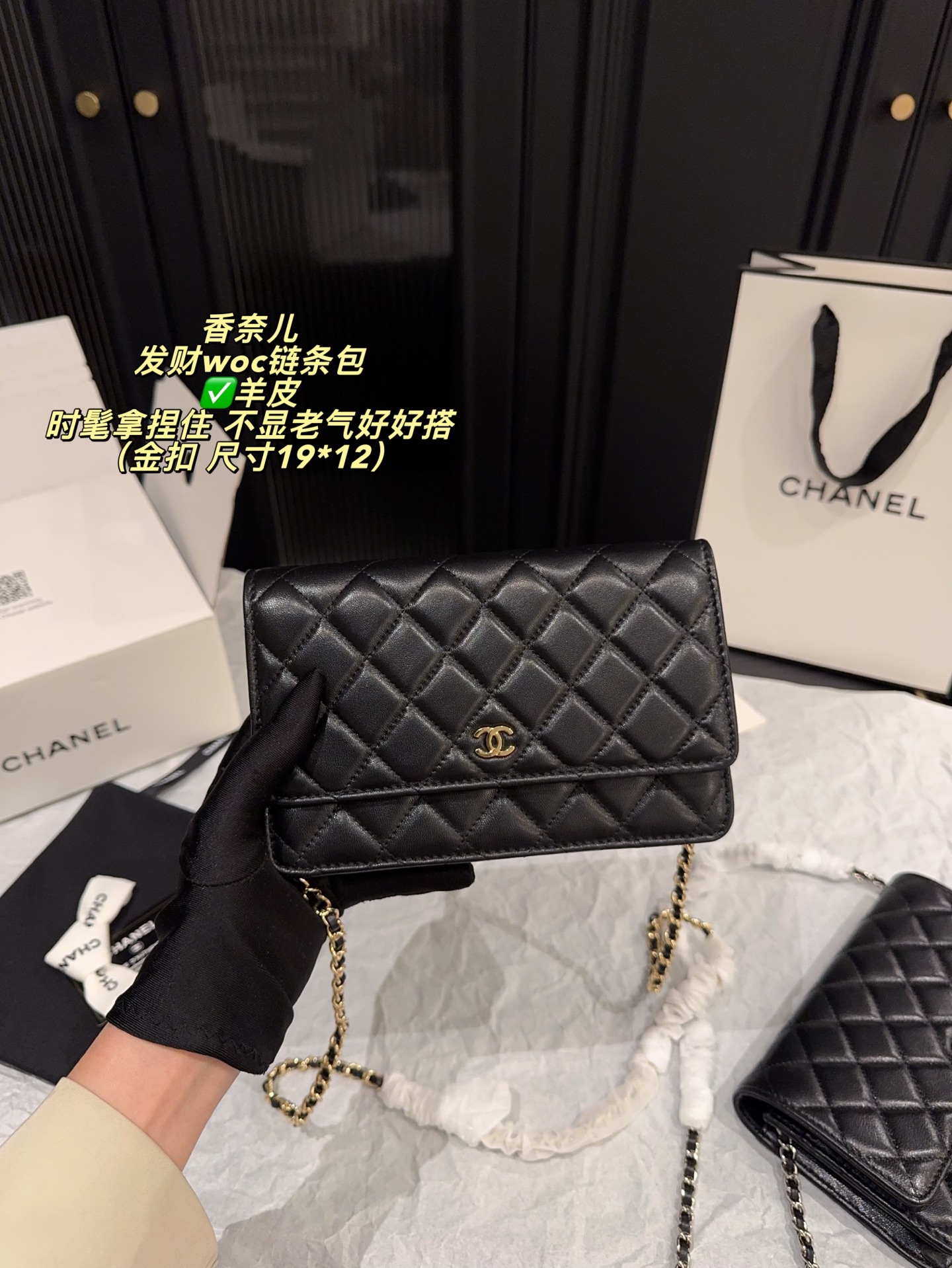 Chanel Wallet On Chain Black [503574]