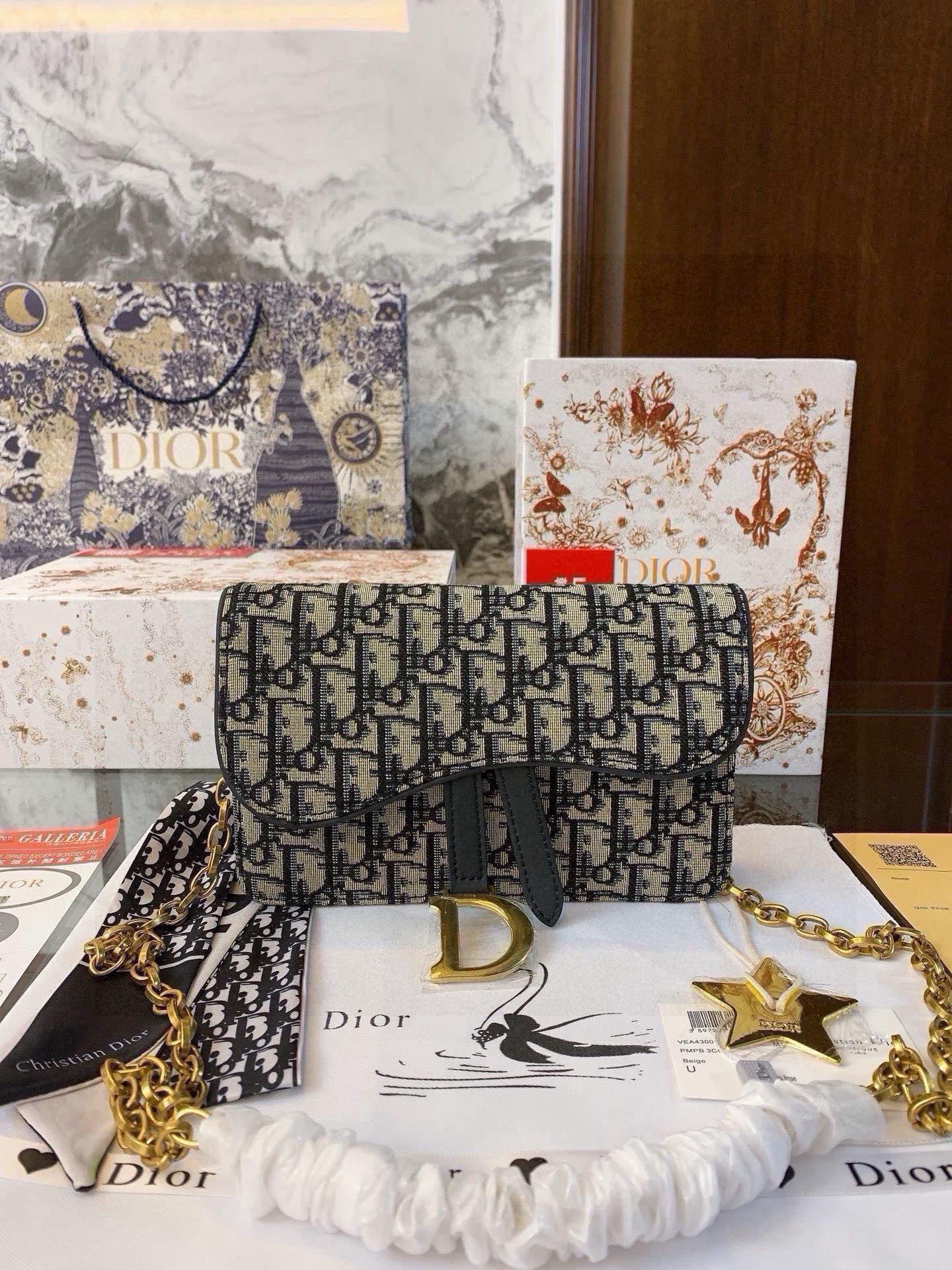 Dior Small Saddle [504028]