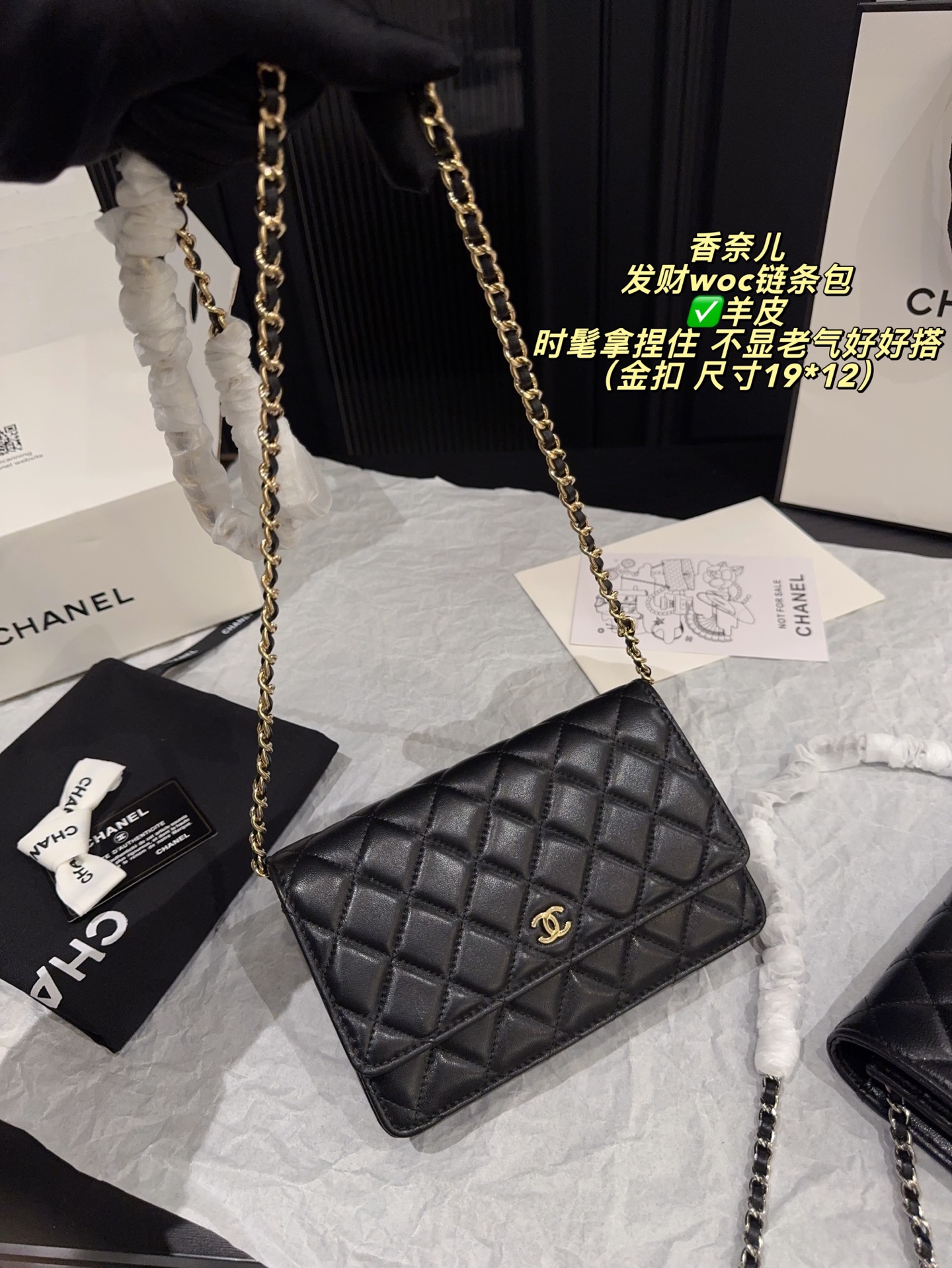 Chanel Wallet On Chain Black [503574]