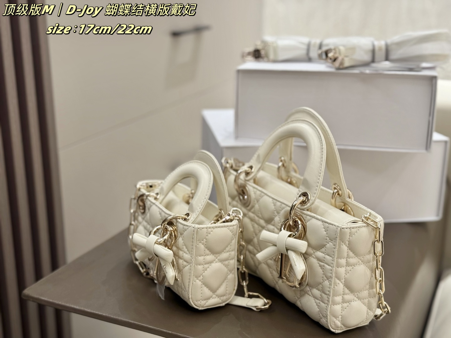 Dior lady D-joy [503565]