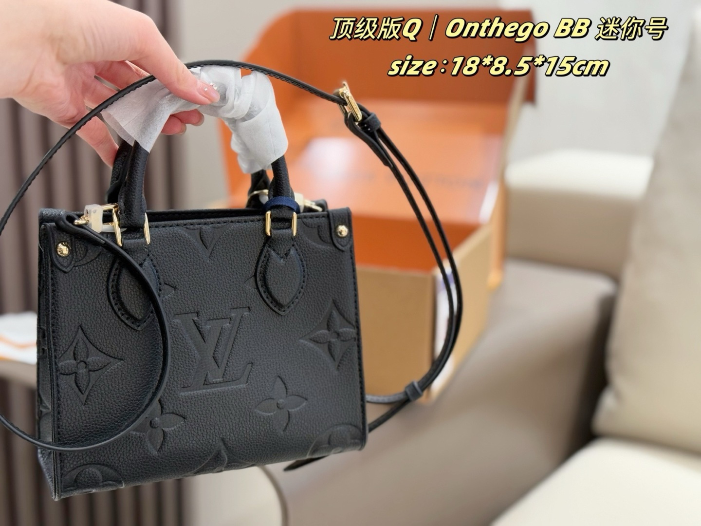 LV Onthego BB [503538]