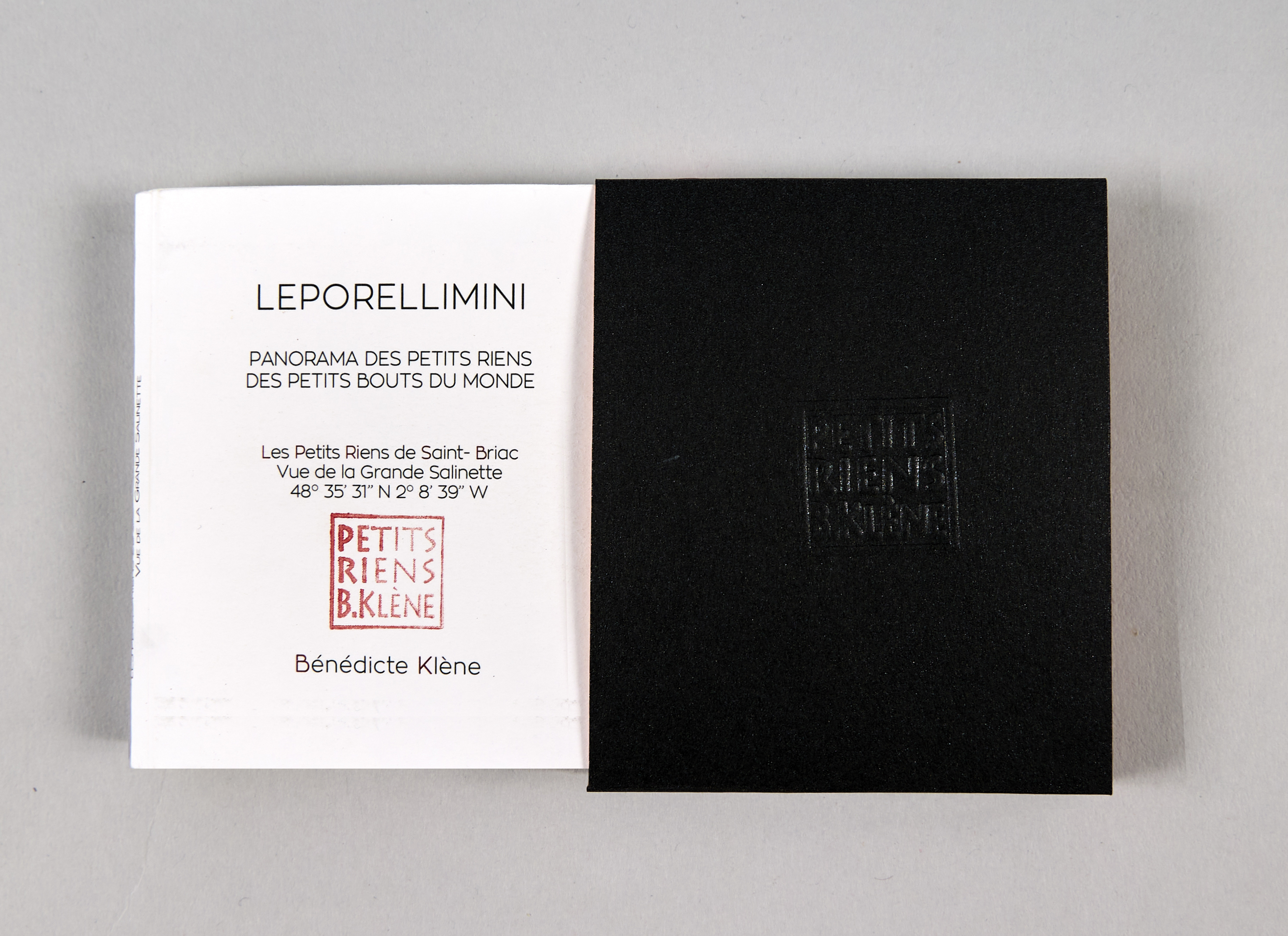 LEPORELLIMINI # 55 // Les Petits Riens de Saint Briac. Vue de la plage de la grande Salinette