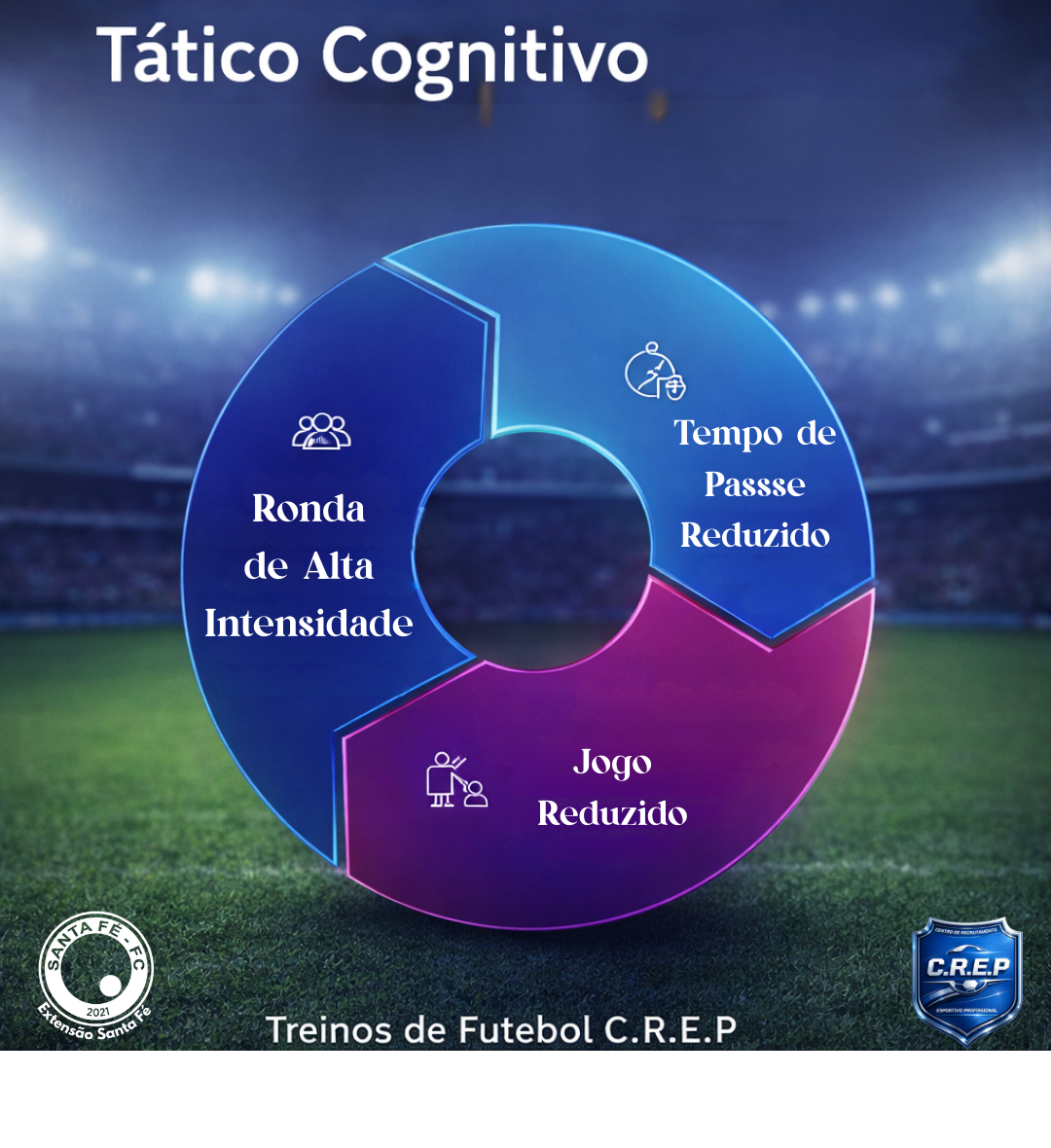 Programa de Treinamento Tático Cognitivo