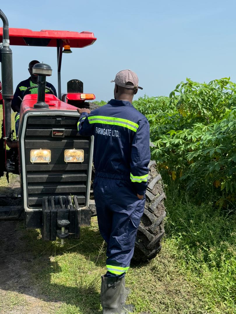 Cassava Bioethanol Production